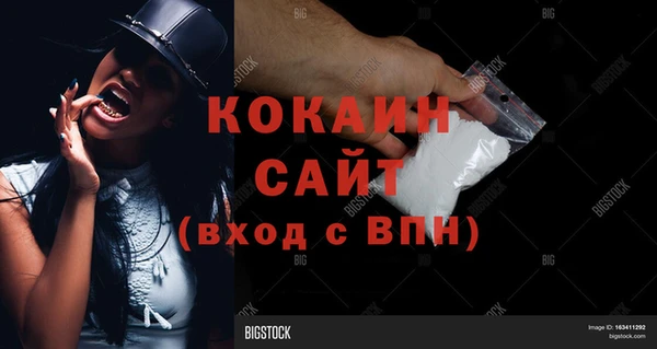 прущие грибы Нягань