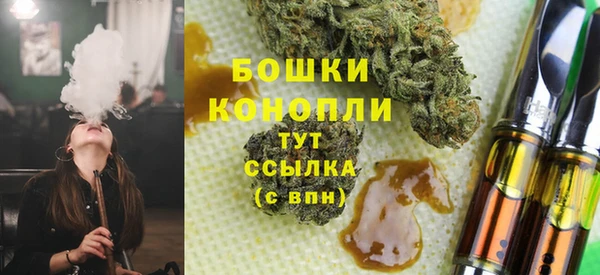 эйфоретик Осинники