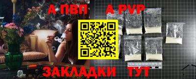 стаф Гай