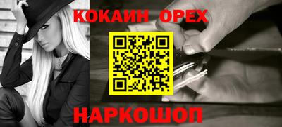 стаф Гай