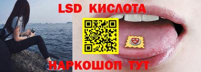 стаф Гай