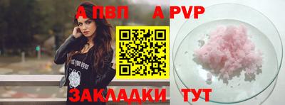 стаф Гай