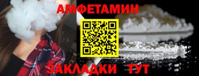 стаф Гай