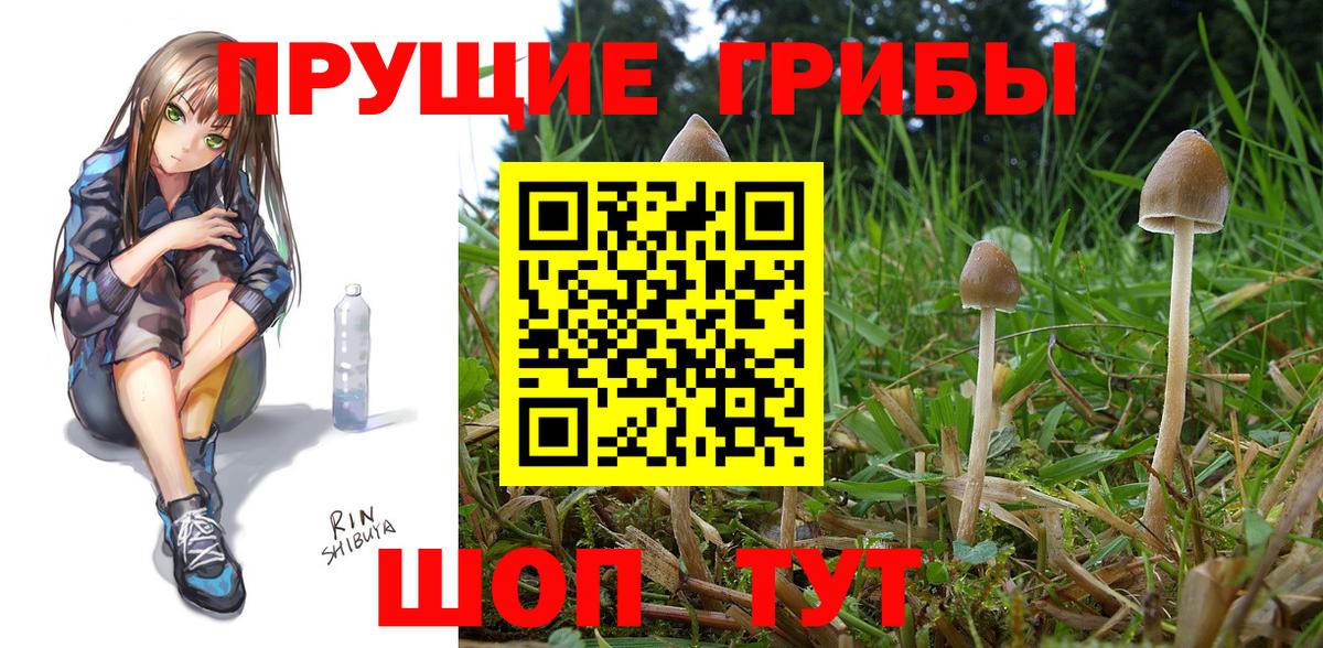 Галлюциногенные грибы мицелий  Вход с VPN  Галлюциногенные грибы GOLDEN TEACHER  Алексин 