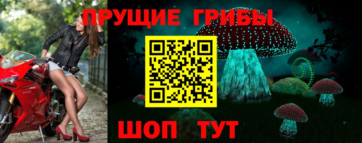 Псилоцибиновые грибы мицелий  наркотики  Алексин  Вход с VPN 